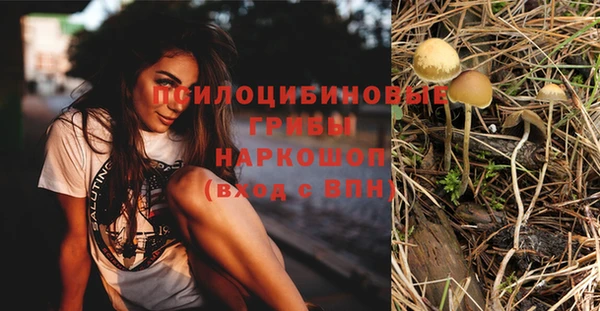 МДПВ Майский